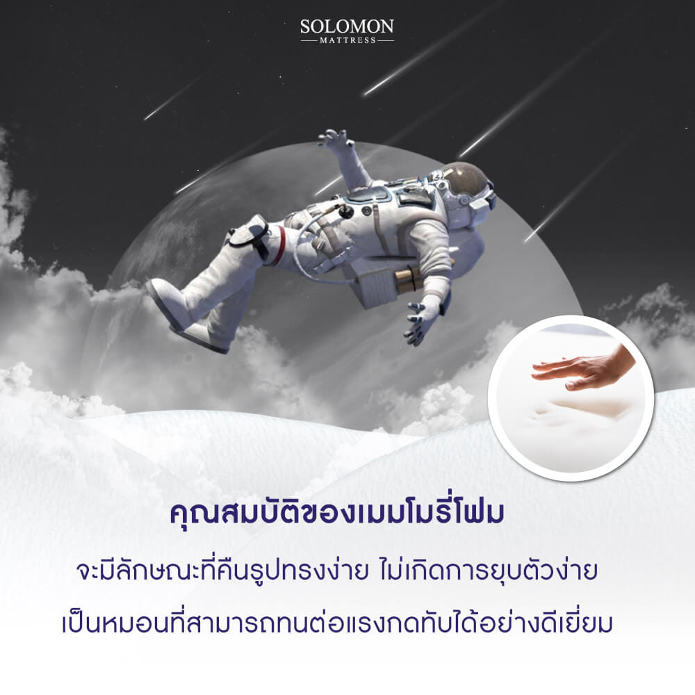 หมอนเมมโมรี่โฟม SOLOMON รุ่น POTTER PILLOW_4